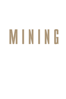 Redden Mining Consulting Mining Engineers